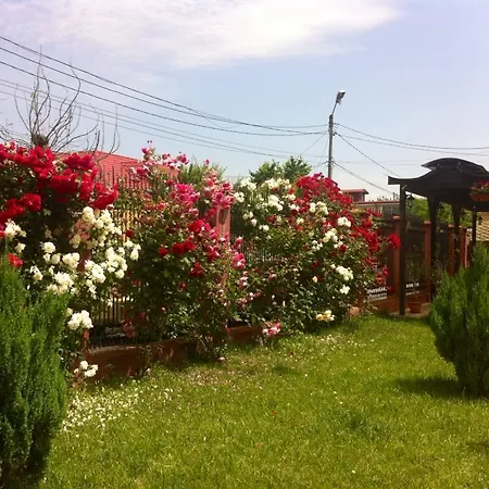 ゲストハウス Iory's テキルギオル